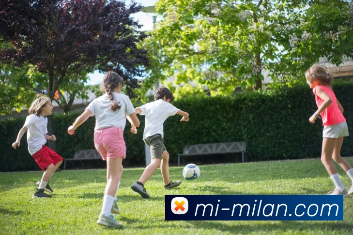 App Interface Preview