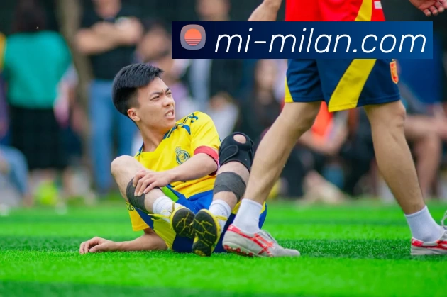 米兰体育APP 封面图